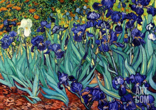 IRISES, SAINT-REMY, C.1889